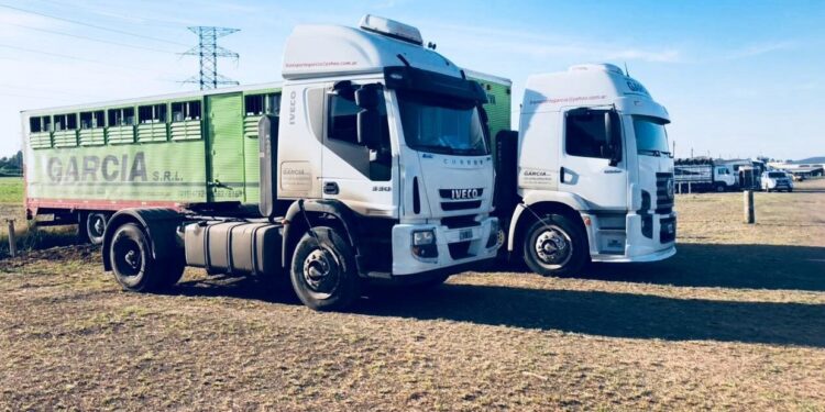 El costo de la ideología: Exportadores advierten pérdidas millonarias por mercadería parada.