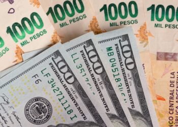 El crédito en pesos se mantuvo sin cambios, mientras crecen los préstamos en dólares