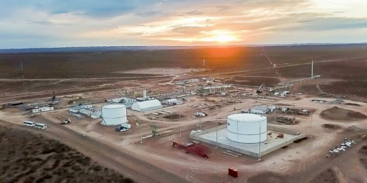 Central Puerto compró una petrolera y desembarcará por primera vez en Vaca Muerta