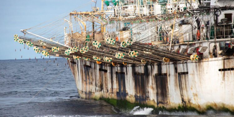 El Congreso de EE.UU. advierte sobre la pesca ilegal china en Sudamérica: Revelaciones sobre Argentina