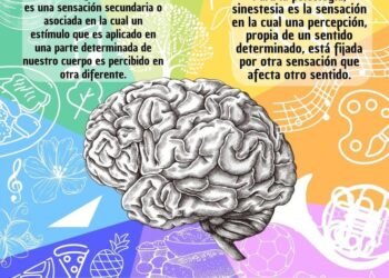 La sinestesia y su reconocimiento: Un nuevo día para entender las emociones y percepciones de quienes la viven