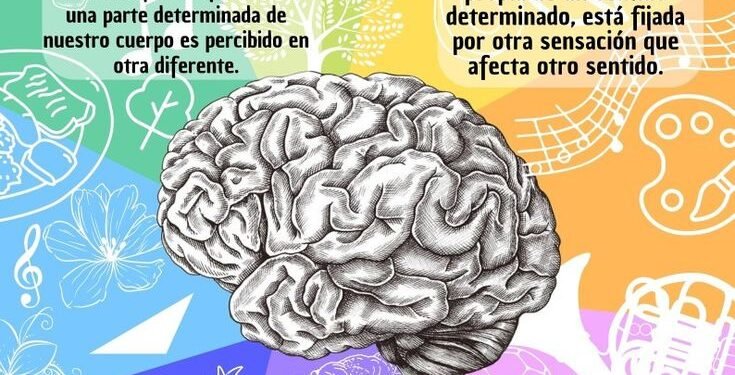 La sinestesia y su reconocimiento: Un nuevo día para entender las emociones y percepciones de quienes la viven