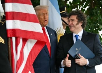 Las Fuerzas Armadas de Argentina: entre la cooperación militar con Estados Unidos y los desafíos presupuestarios