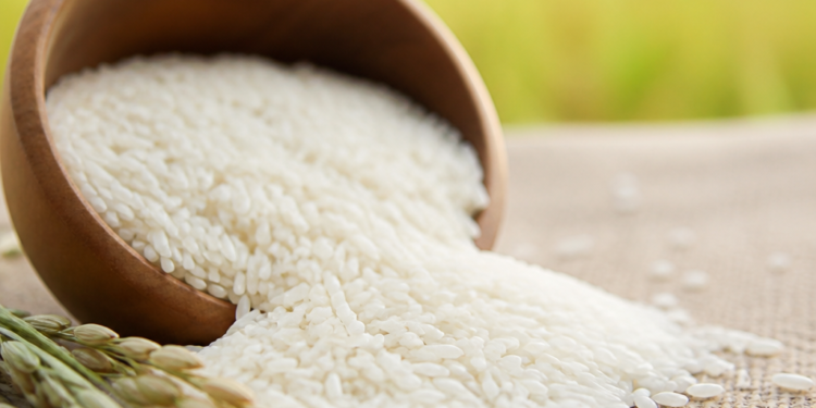 ANMAT actualiza límites de arsénico en arroz y sus derivados