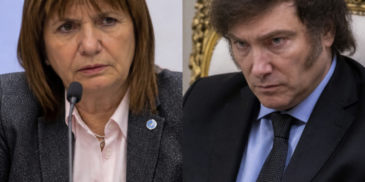Tensiones entre Bullrich y el Gobierno: la oposición en el Senado toma una decisión crucial