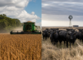 Comparativa entre Brasil y Argentina: el crecimiento diferenciado del sector agropecuario según un diputado