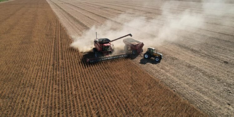 Las exportaciones agropecuarias superaron los USD 3.000 millones en junio