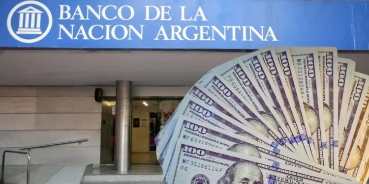 Cotizaciones del dólar: situación actual de las distintas opciones cambiarias
