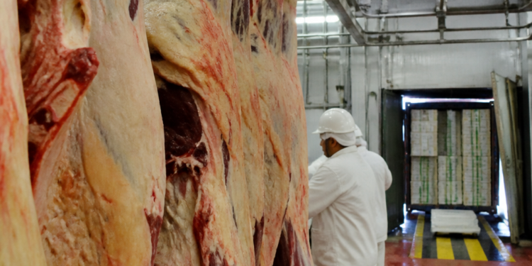 Desempeño de la Faena Vacuna: Uno de los Peores Agostos en 47 Años y Caída del Consumo