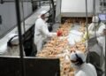 La inflación según el consumo: los servicios se encarecen más que los bienes en 2026
