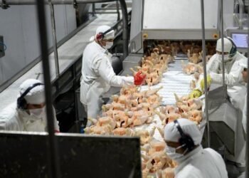 La inflación según el consumo: los servicios se encarecen más que los bienes en 2026
