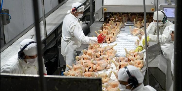 La inflación según el consumo: los servicios se encarecen más que los bienes en 2026